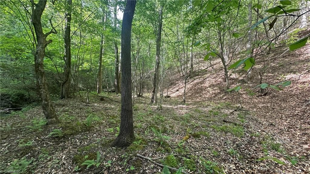 Unimproved Land at TBD Darnell Creek Road, Millers Creek NC 28651, photo 21 of 40