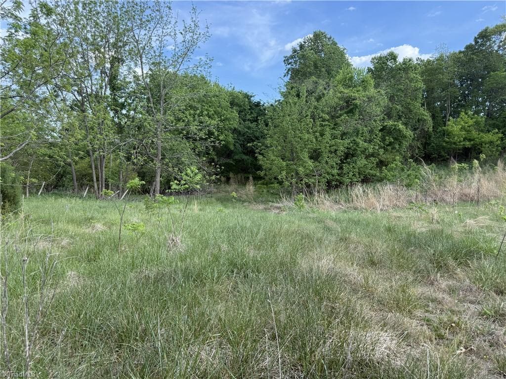 Single Family Residence at 2690 Old Mountain Road, Trinity NC 27370, photo 5 of 16