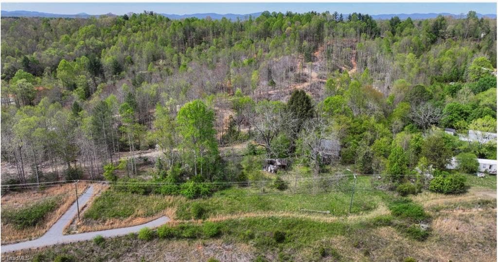 Single Family Residence at 161 Queen Drive, North Wilkesboro NC 28659, North Wilkesboro, photo 9 of 22
