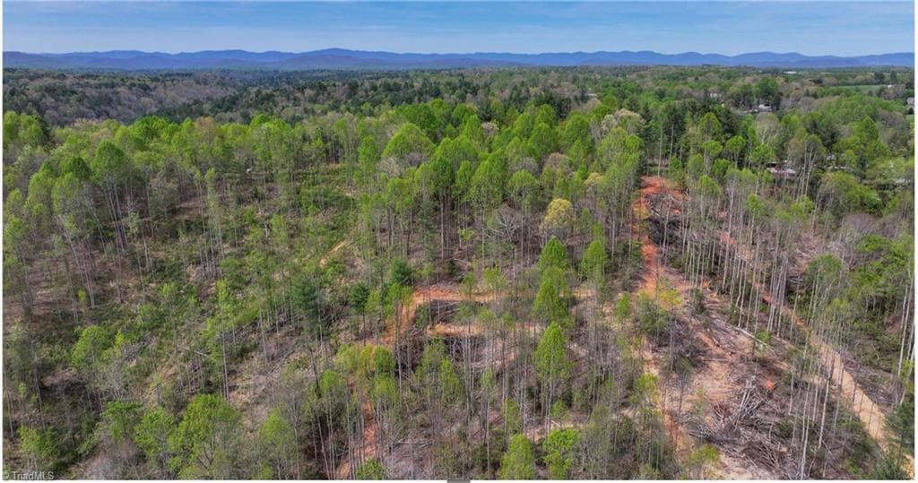 Single Family Residence at 161 Queen Drive, North Wilkesboro NC 28659, North Wilkesboro, photo 14 of 22