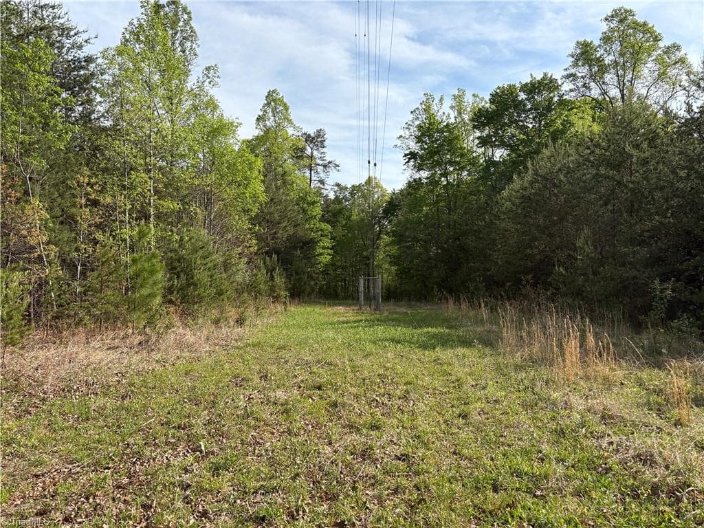 Agriculture at 521 Matrimony Road, Eden NC 27288, photo 24 of 36