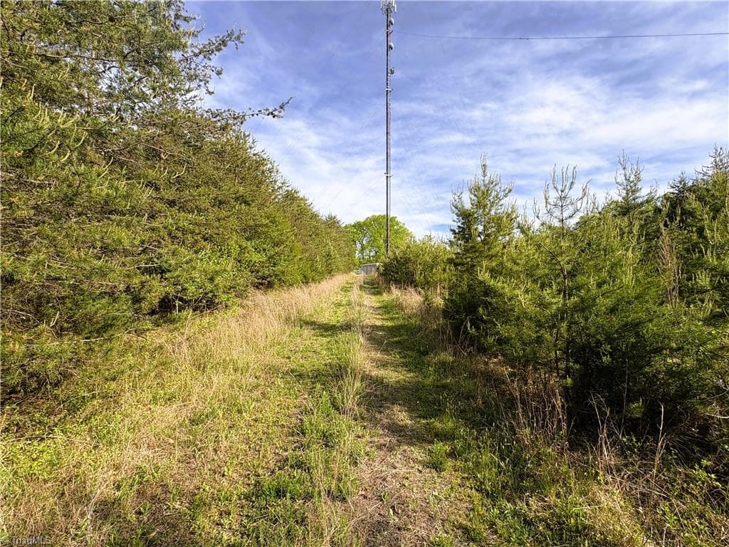 Agriculture at 521 Matrimony Road, Eden NC 27288, photo 11 of 36