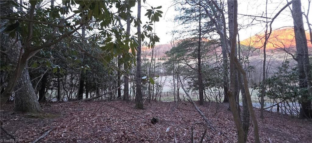 Unimproved Land at 0 Air Bellows Gap Road, Sparta NC 28675, photo 3 of 13