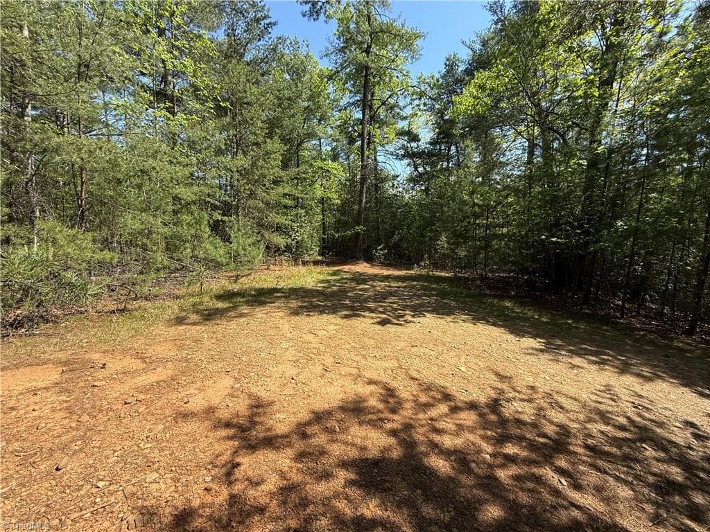 Single Family Residence at Lots 51 & 52A Staghorn Road, Purlear NC 28665, Purlear, photo 2 of 43