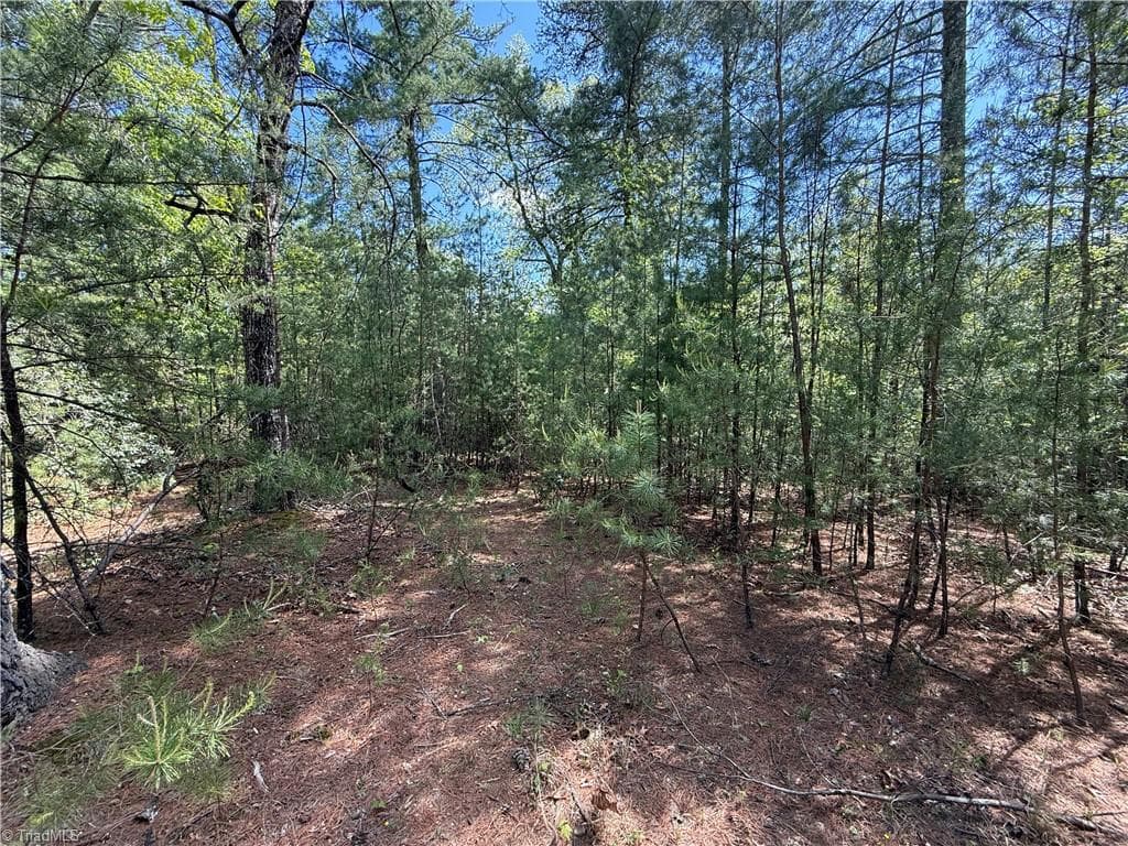 Single Family Residence at Lots 51 & 52A Staghorn Road, Purlear NC 28665, Purlear, photo 6 of 43
