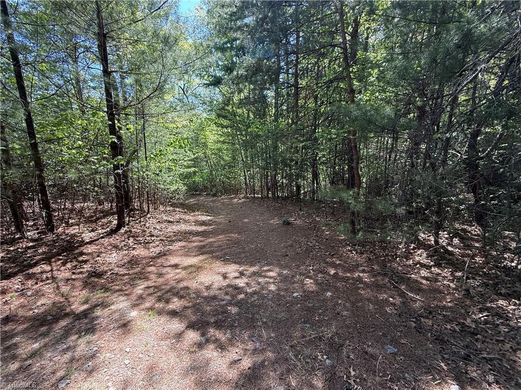 Single Family Residence at Lots 51 & 52A Staghorn Road, Purlear NC 28665, Purlear, photo 22 of 43