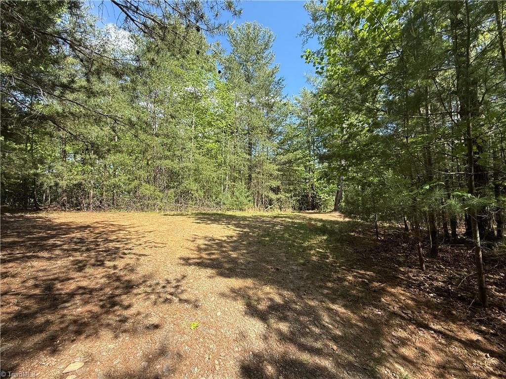 Single Family Residence at Lots 51 & 52A Staghorn Road, Purlear NC 28665, Purlear, photo 7 of 43