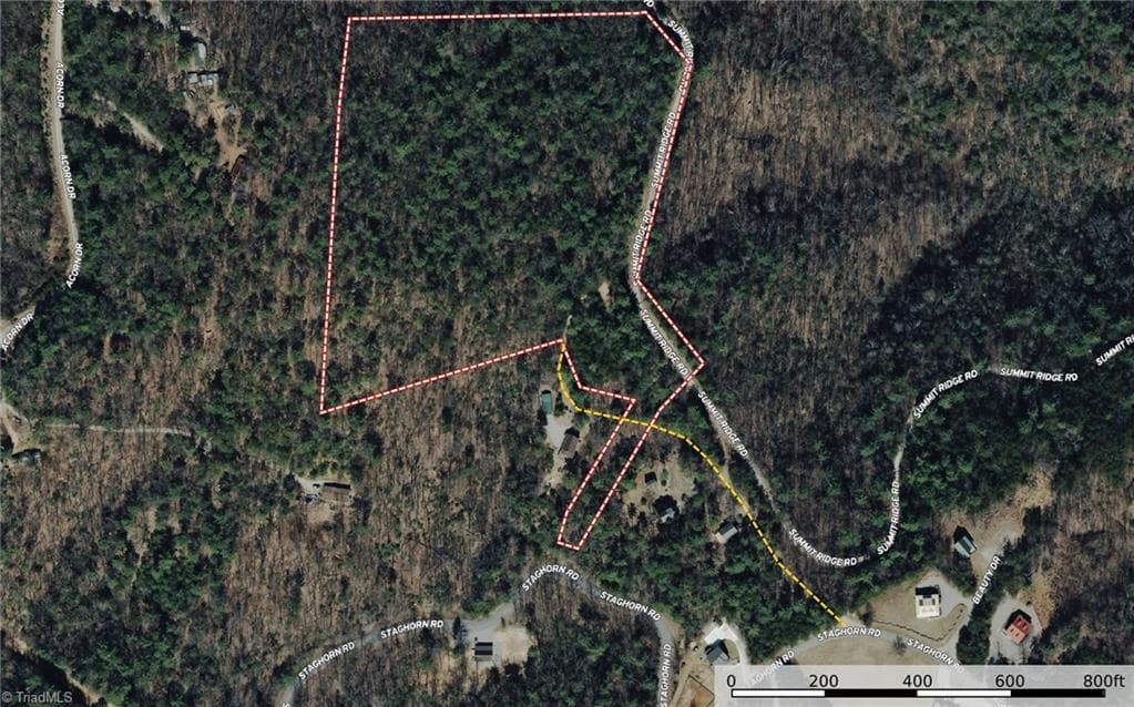 Single Family Residence at Lots 51 & 52A Staghorn Road, Purlear NC 28665, Purlear, photo 3 of 43