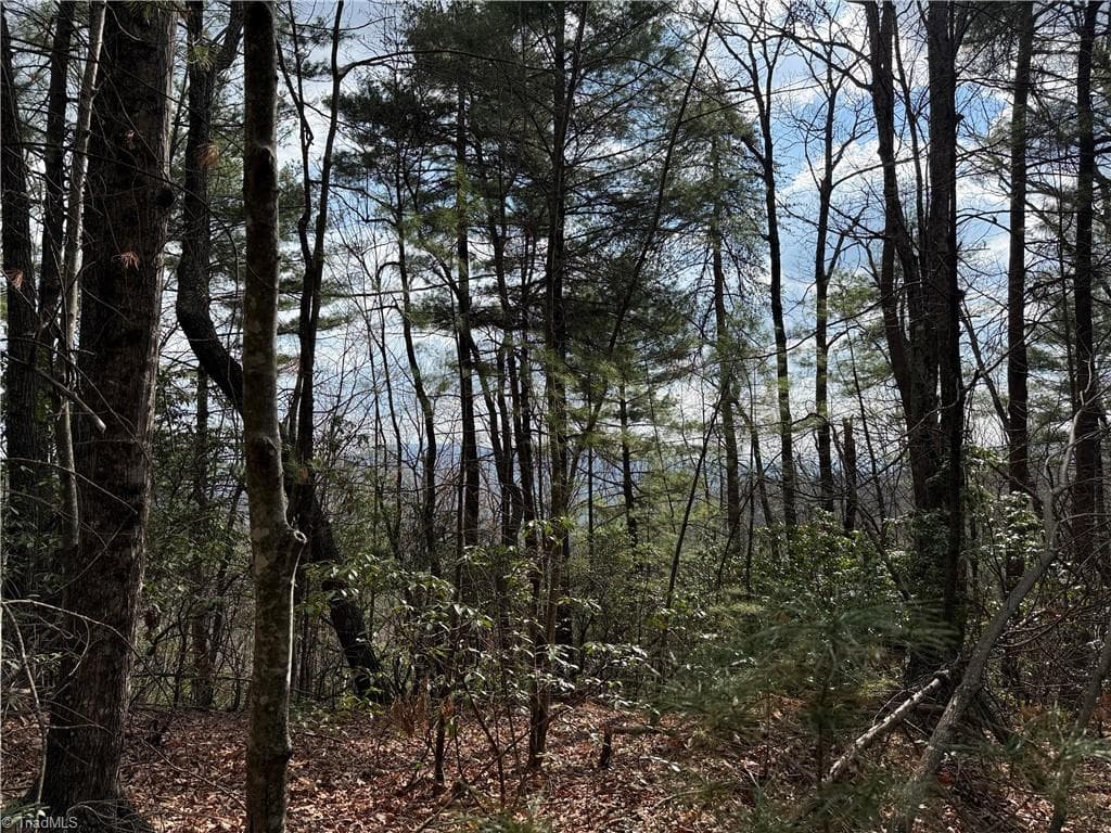 Lots 51 & 52A Staghorn Road, Purlear NC 28665