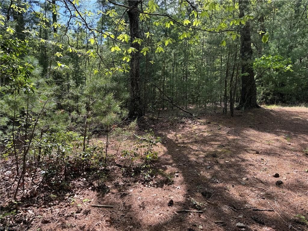 Single Family Residence at Lots 51 & 52A Staghorn Road, Purlear NC 28665, Purlear, photo 5 of 43