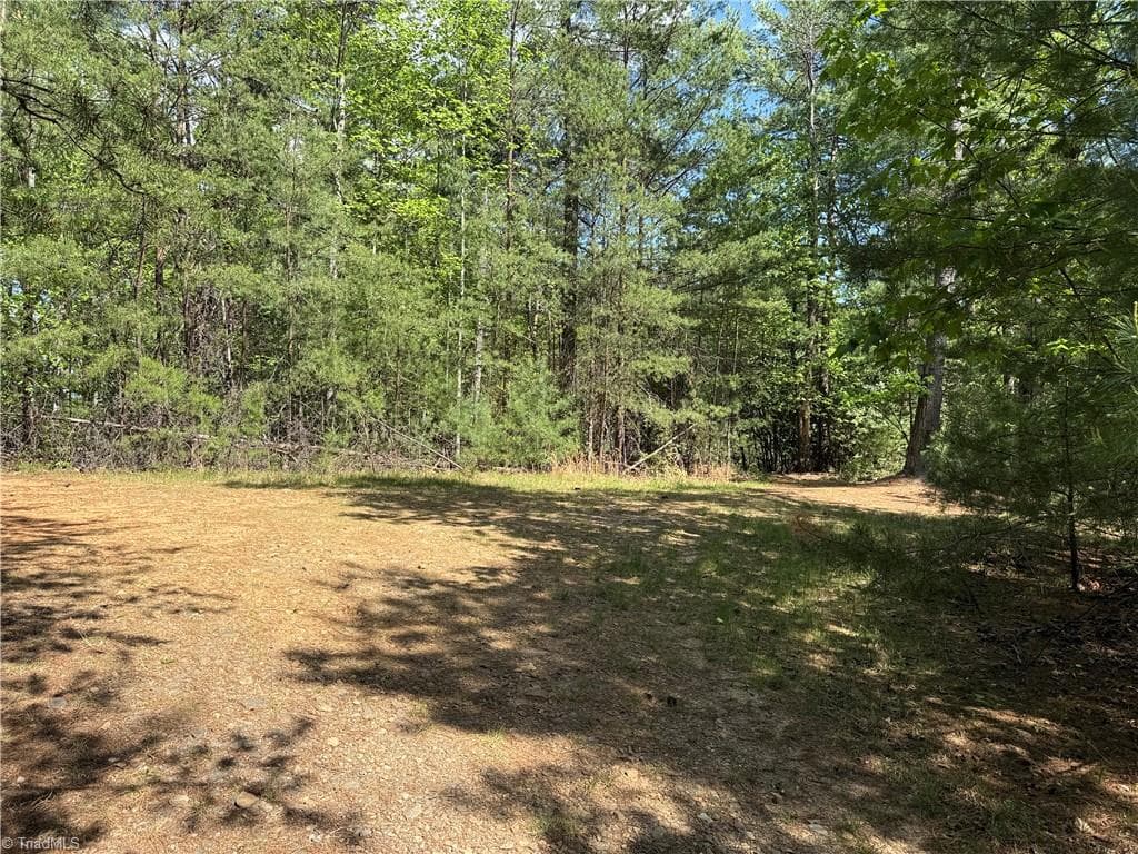 Single Family Residence at Lots 51 & 52A Staghorn Road, Purlear NC 28665, Purlear, photo 20 of 43
