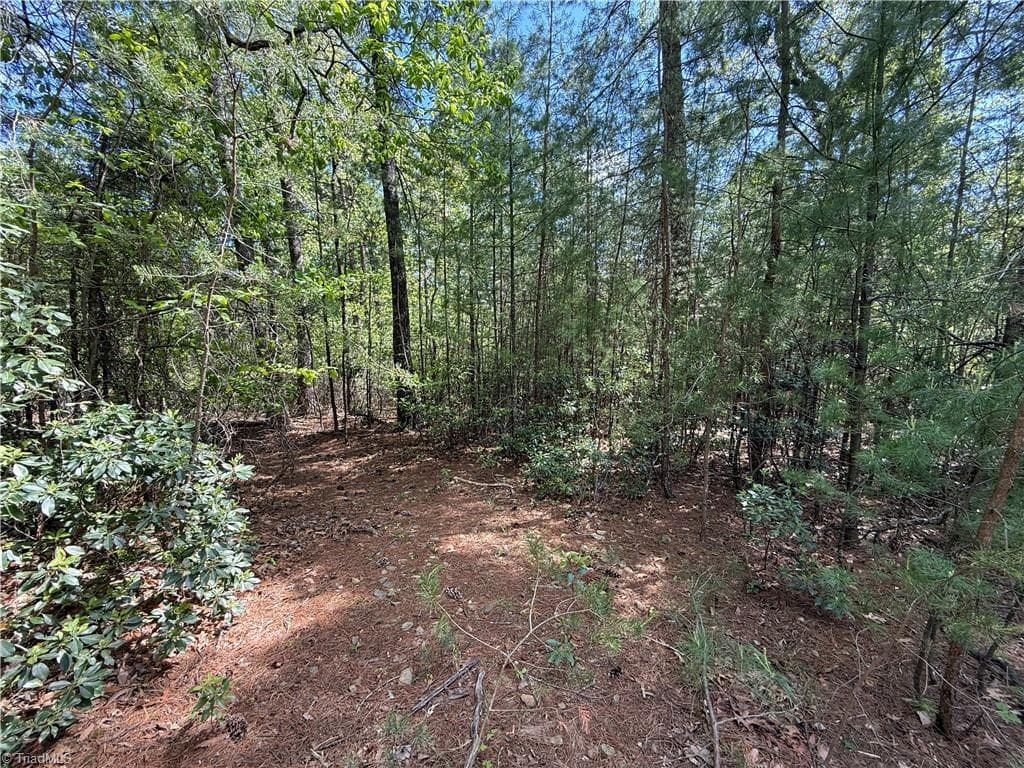 Single Family Residence at Lots 51 & 52A Staghorn Road, Purlear NC 28665, Purlear, photo 9 of 43
