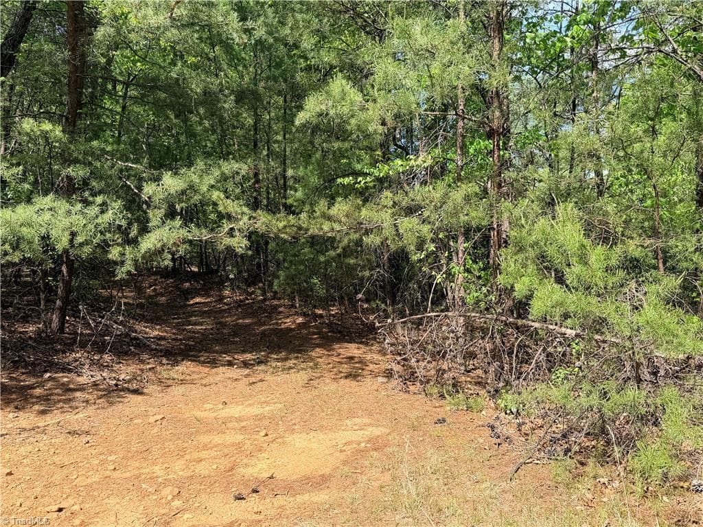 Single Family Residence at Lots 51 & 52A Staghorn Road, Purlear NC 28665, Purlear, photo 8 of 43