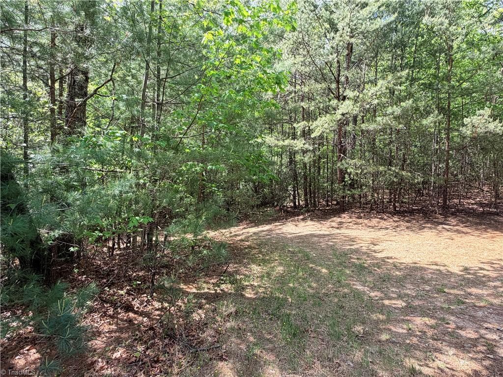 Single Family Residence at Lots 51 & 52A Staghorn Road, Purlear NC 28665, Purlear, photo 21 of 43