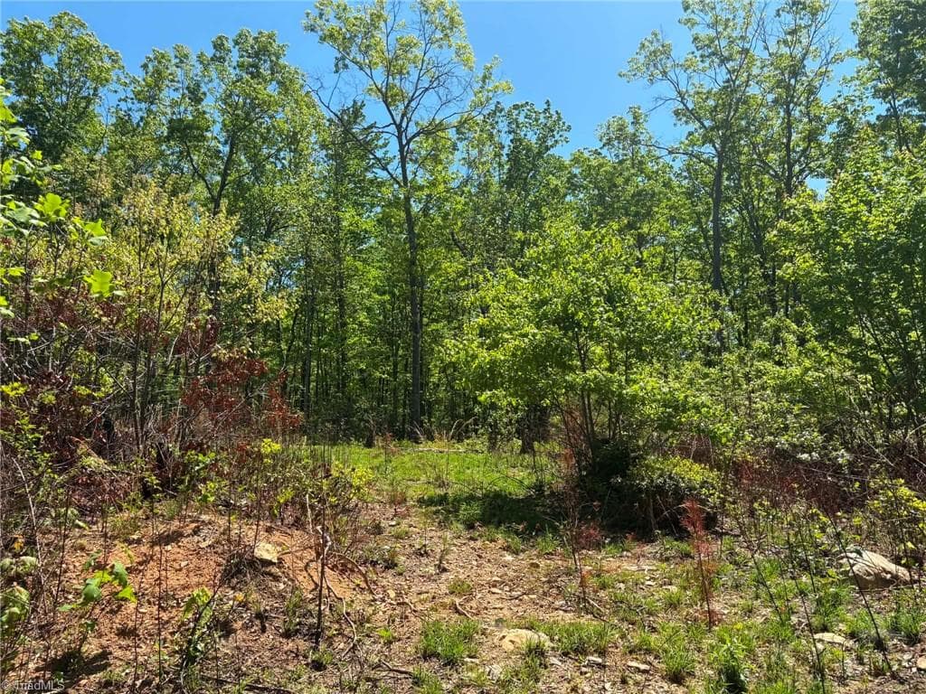Unimproved Land at TBD Raven Ridge Trail, Dobson NC 27017, photo 13 of 17