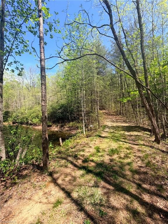 Unimproved Land at TBD Raven Ridge Trail, Dobson NC 27017, photo 5 of 17