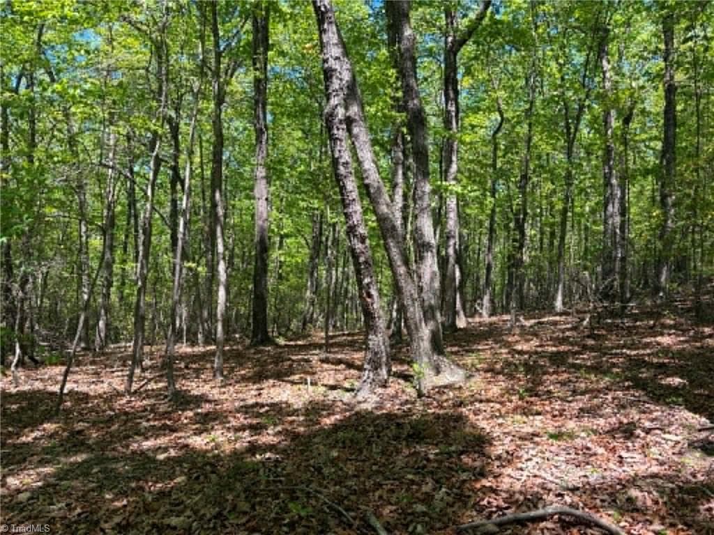Unimproved Land at TBD Raven Ridge Trail, Dobson NC 27017, photo 9 of 17