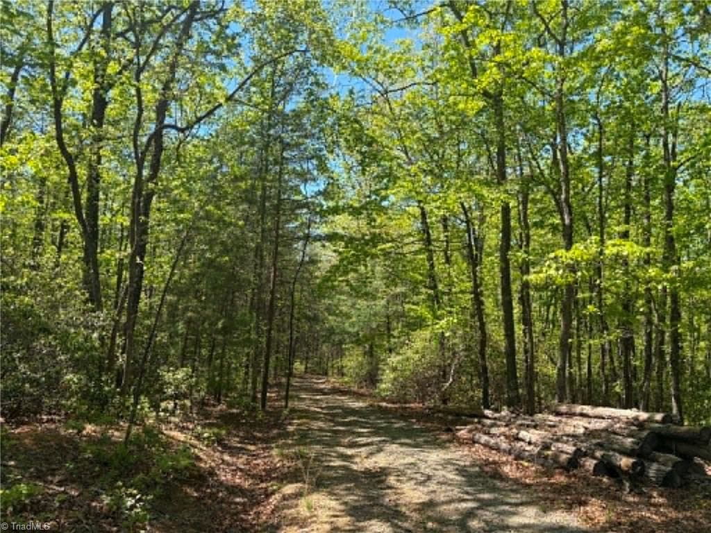 Unimproved Land at TBD Raven Ridge Trail, Dobson NC 27017, photo 10 of 17