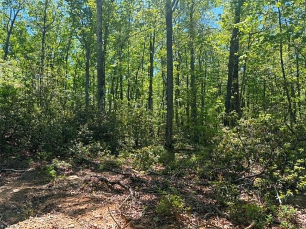 Unimproved Land at TBD Raven Ridge Trail, Dobson NC 27017, photo 11 of 17