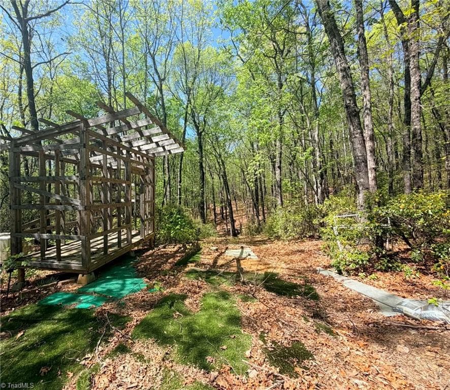 Unimproved Land at TBD Raven Ridge Trail, Dobson NC 27017, photo 4 of 17