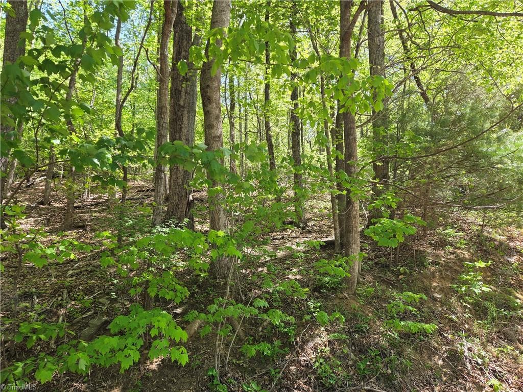 Single Family Residence at TBD Price Road, Moravian Falls NC 28654, Moravian Falls, photo 15 of 20