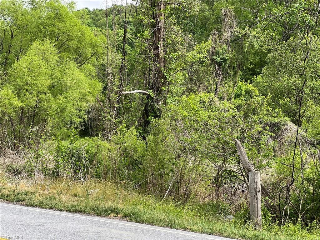 Unimproved Land at TBD Statesville Road, North Wilkesboro NC 28659, North Wilkesboro, photo 3 of 8