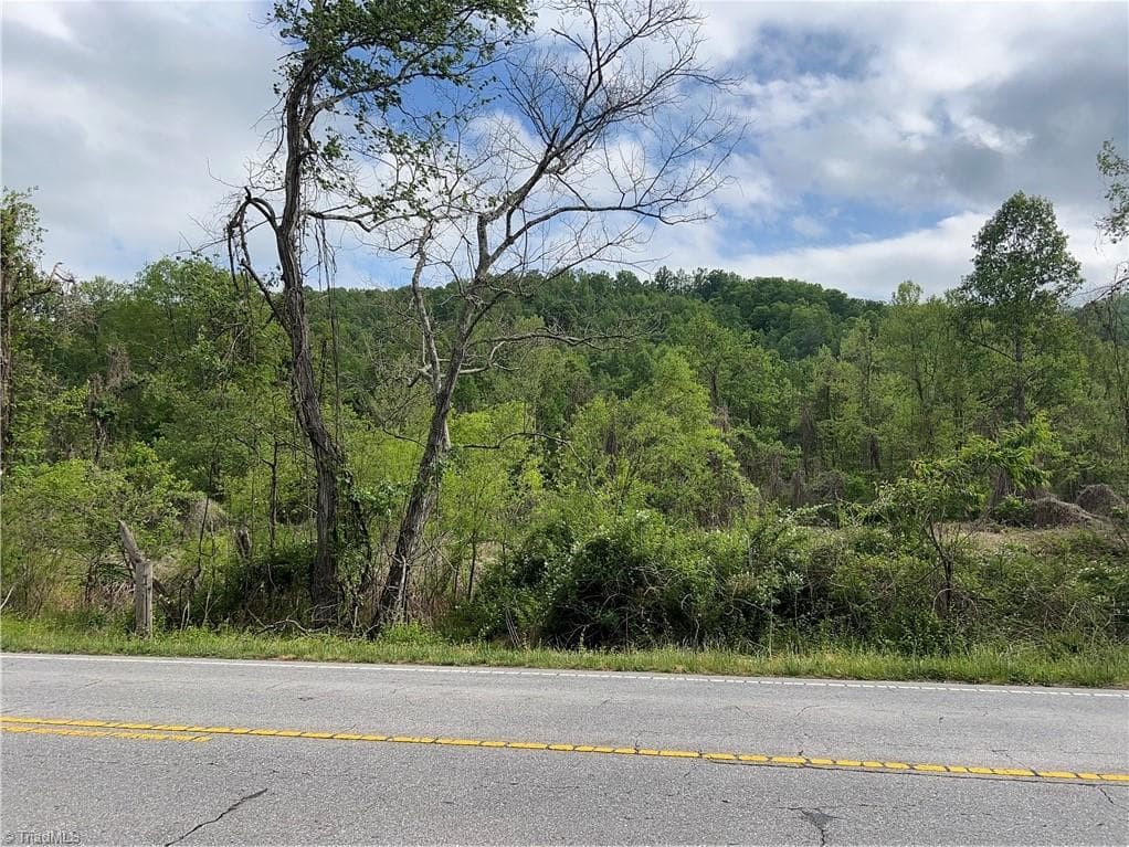 Unimproved Land at TBD Statesville Road, North Wilkesboro NC 28659, North Wilkesboro, photo 5 of 8