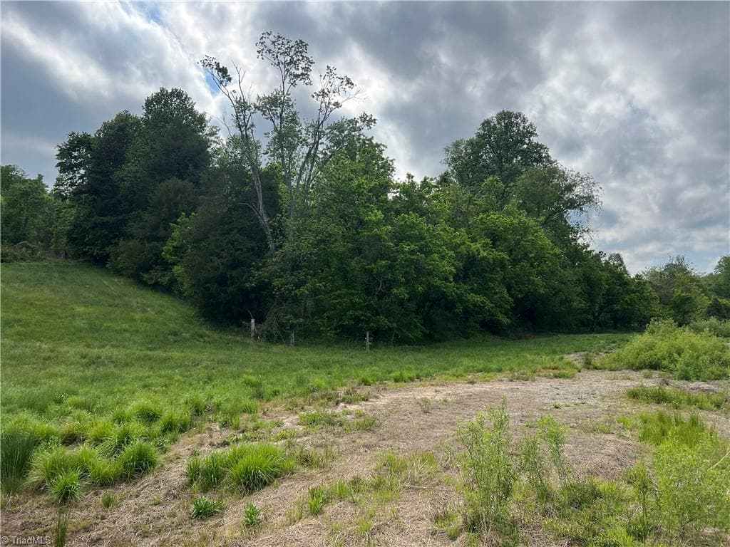 Unimproved Land at TBD Statesville Road, North Wilkesboro NC 28659, North Wilkesboro, photo 8 of 8