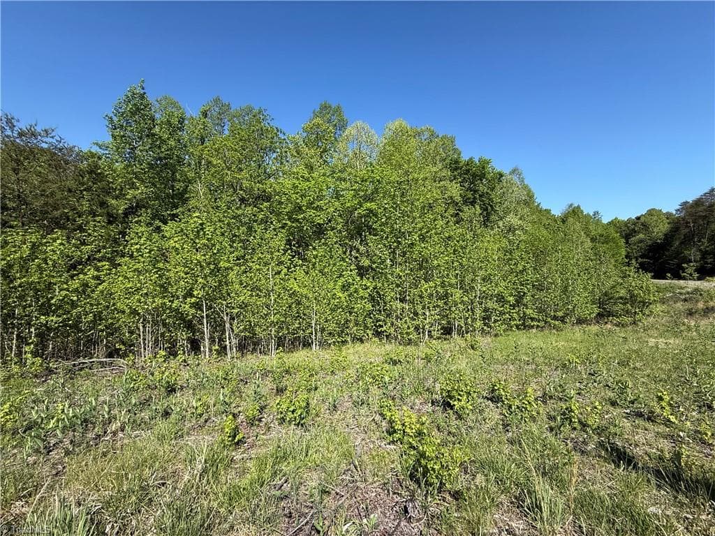 Unimproved Land at 618 Crystal Cove Lane, Yanceyville NC 27379, Yanceyville, photo 13 of 28