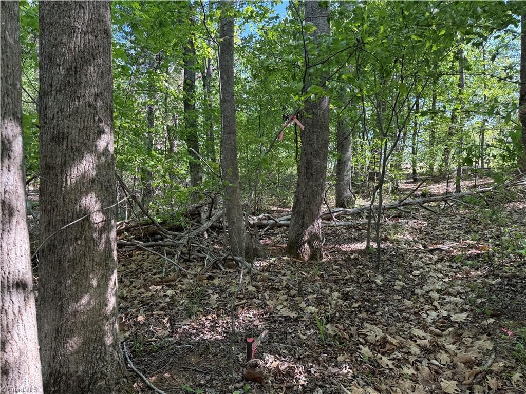 Unimproved Land at 618 Crystal Cove Lane, Yanceyville NC 27379, Yanceyville, photo 5 of 28