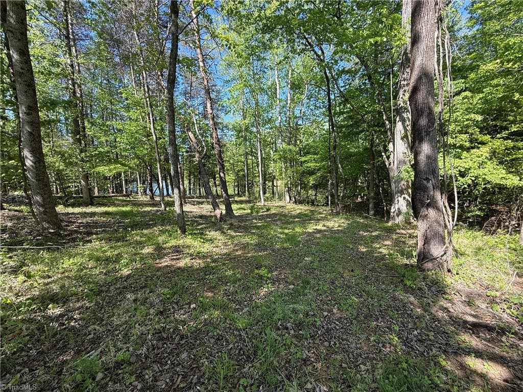 Unimproved Land at 618 Crystal Cove Lane, Yanceyville NC 27379, Yanceyville, photo 9 of 28