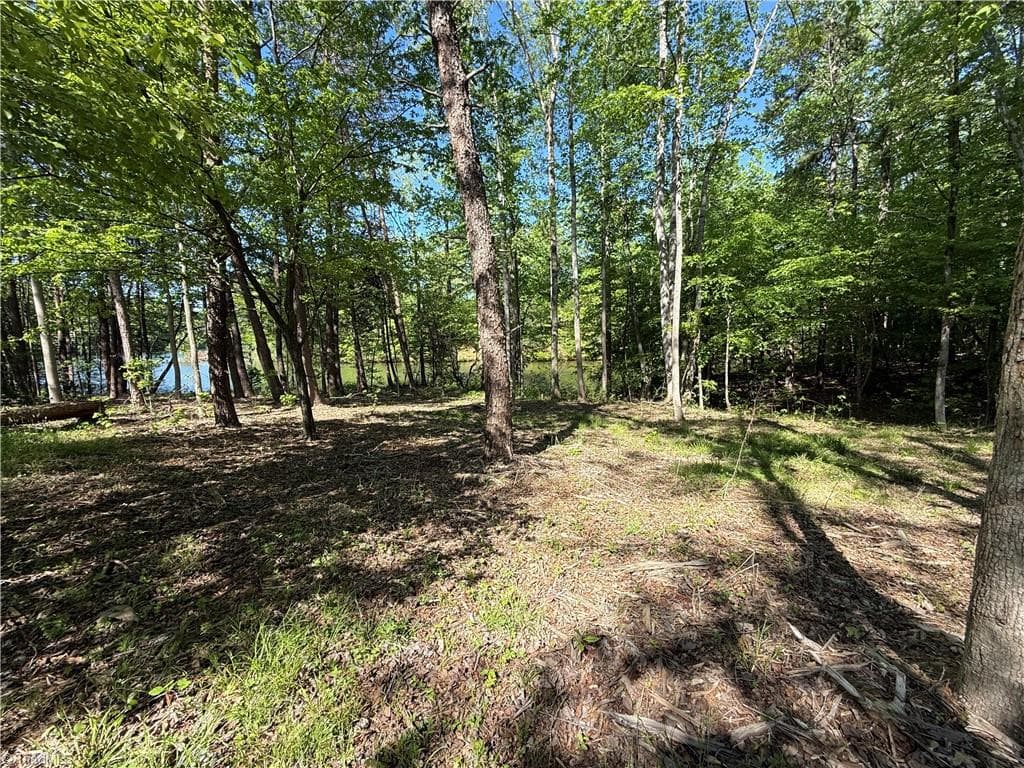 Unimproved Land at 618 Crystal Cove Lane, Yanceyville NC 27379, Yanceyville, photo 7 of 28