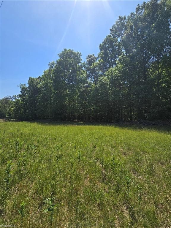 Unimproved Land at 5022 Mt Hermon Rock Creek Road, Snow Camp NC 27349, photo 17 of 23