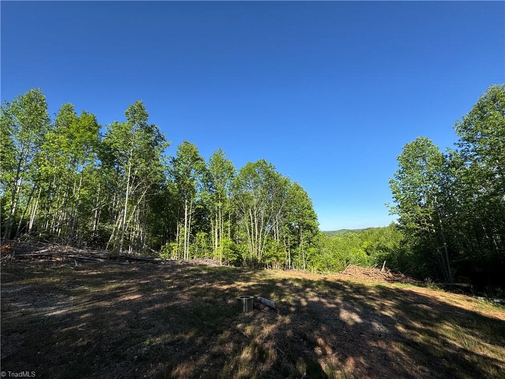 Tract 3 River Rd Liberty Grove Road, North Wilkesboro NC 28659