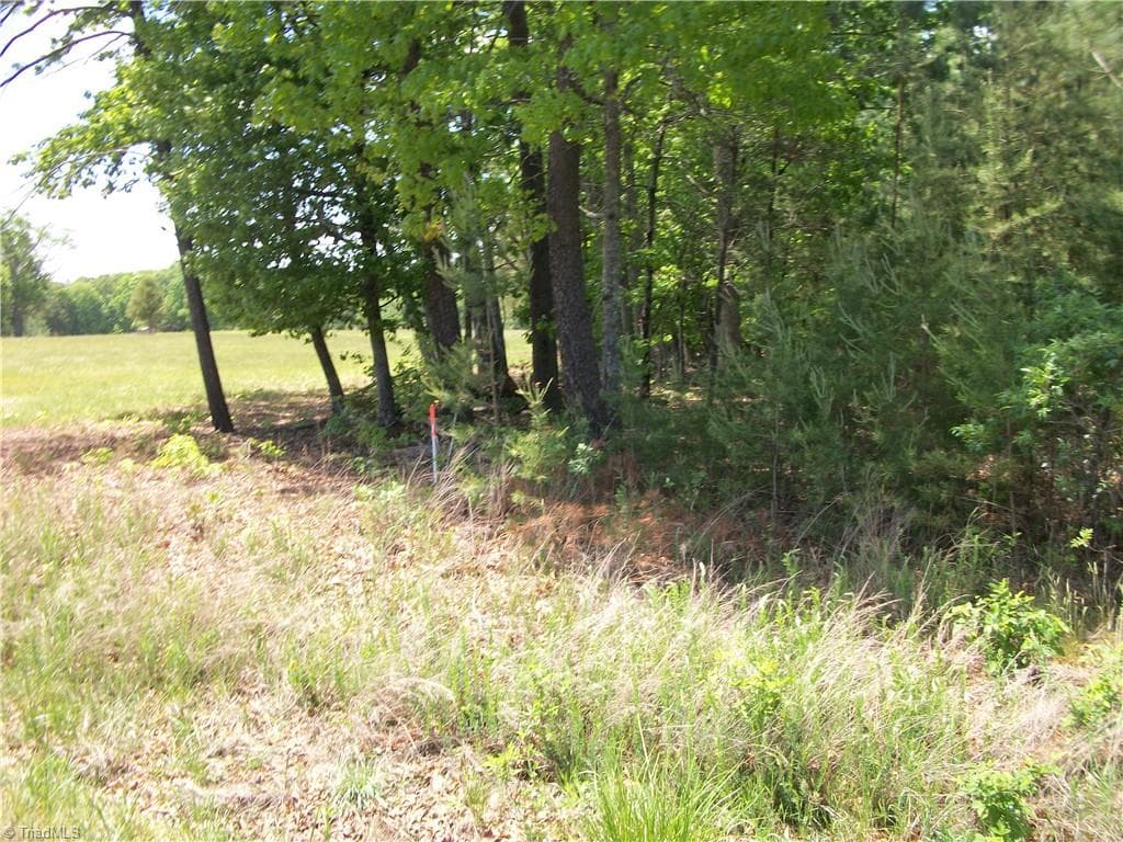 Unimproved Land at 00 Floyd Road, Eden NC 27288, photo 3 of 9