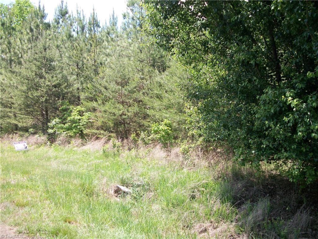 Unimproved Land at 00 Floyd Road, Eden NC 27288, photo 5 of 9
