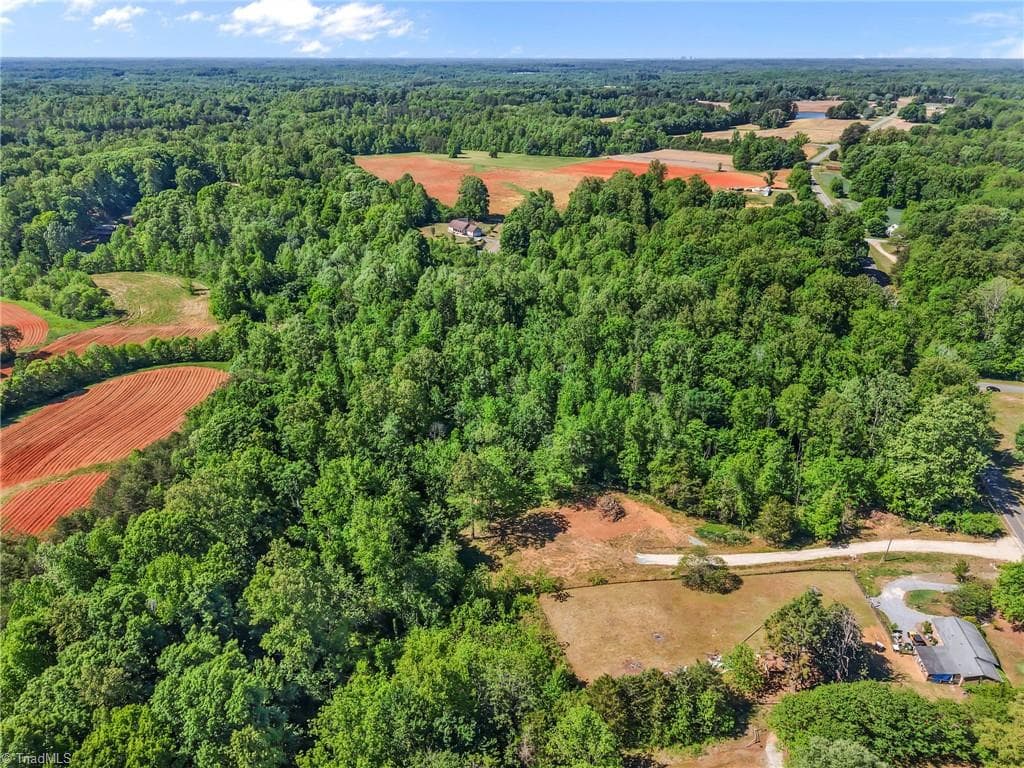 Single Family Residence at 5706 TURNER SMITH Road, Browns Summit NC 27214, photo 11 of 24
