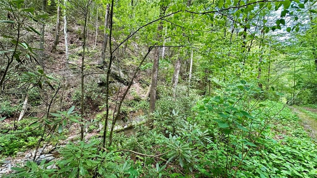Unimproved Land at 000 N Old NC Highway 16, Millers Creek NC 28651, photo 6 of 20