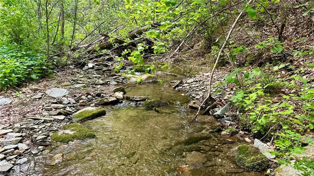 Unimproved Land at 000 N Old NC Highway 16, Millers Creek NC 28651, photo 16 of 20