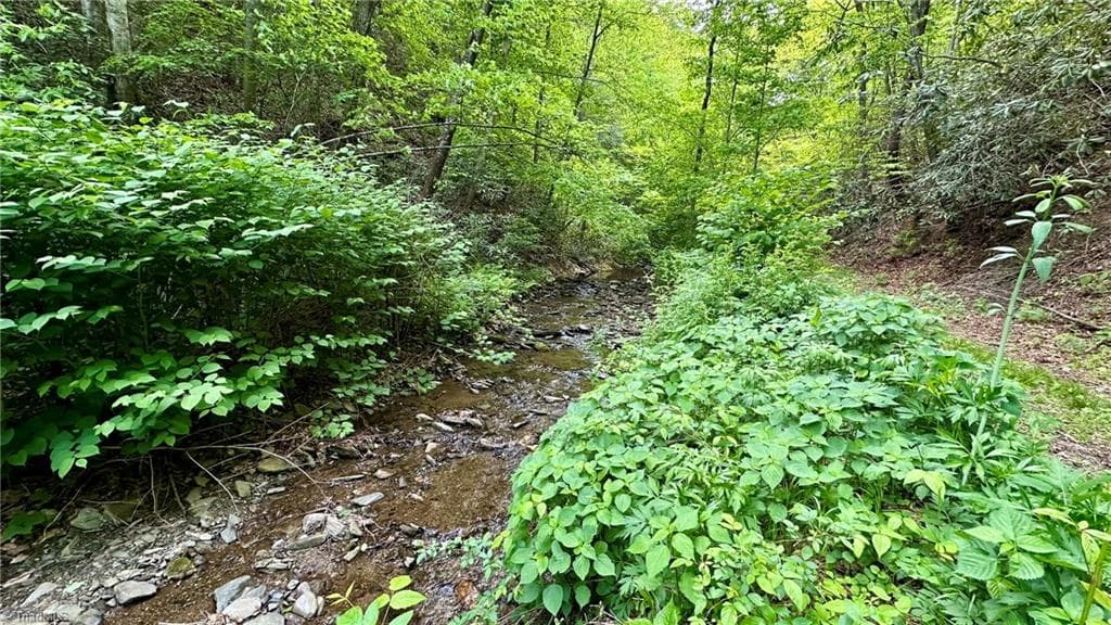 Unimproved Land at 000 N Old NC Highway 16, Millers Creek NC 28651, photo 7 of 20