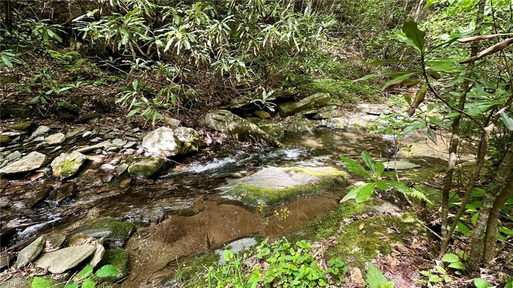Unimproved Land at 000 N Old NC Highway 16, Millers Creek NC 28651, photo 9 of 20