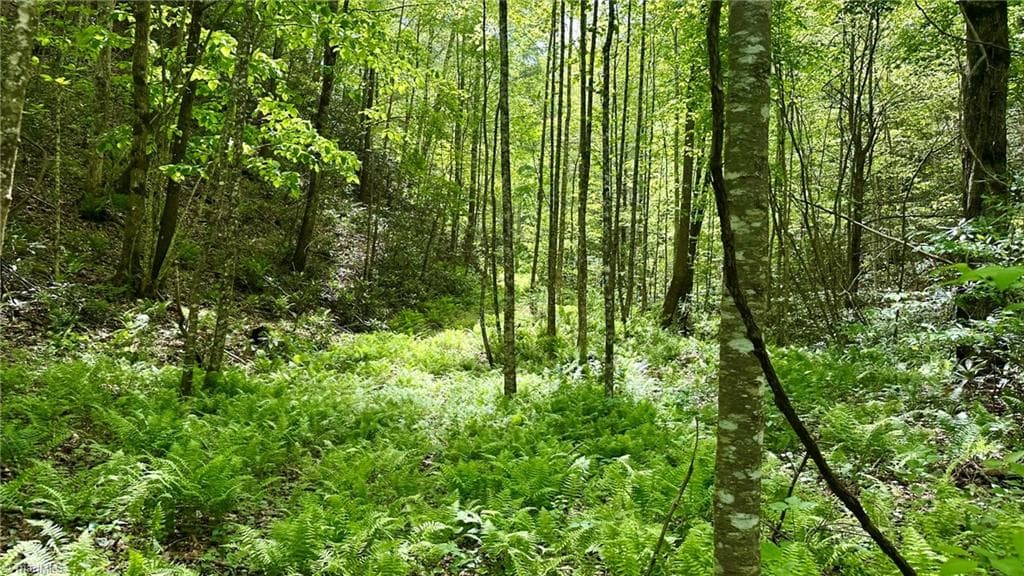 Unimproved Land at 000 N Old NC Highway 16, Millers Creek NC 28651, photo 10 of 20