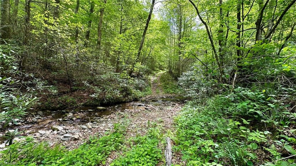Unimproved Land at 000 N Old NC Highway 16, Millers Creek NC 28651, photo 14 of 20