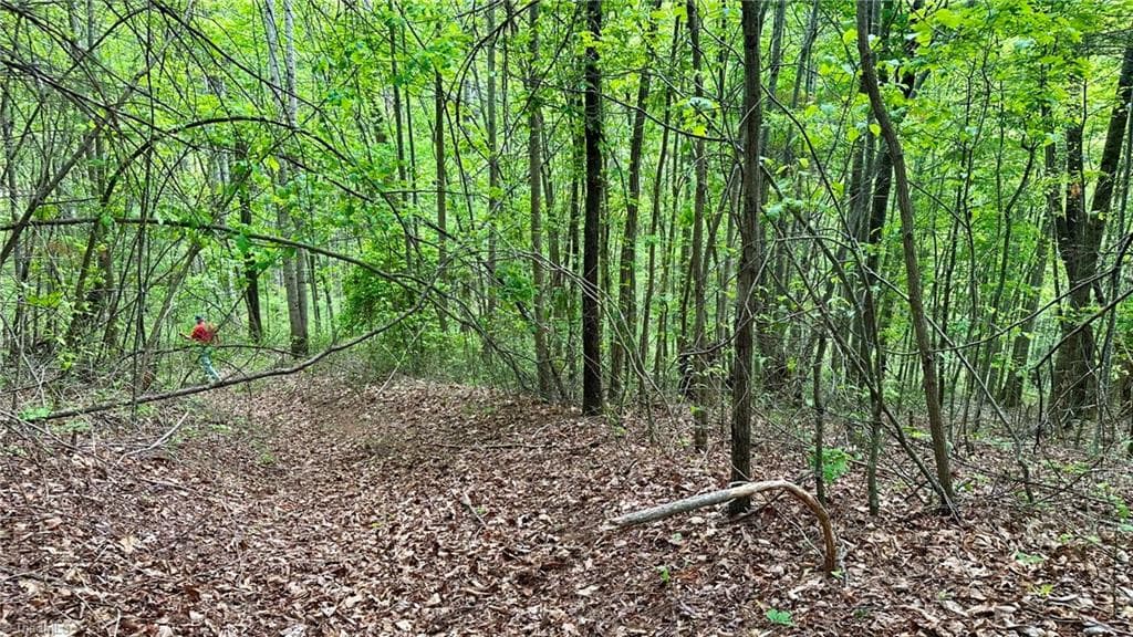 Unimproved Land at 000 N Old NC Highway 16, Millers Creek NC 28651, photo 18 of 20