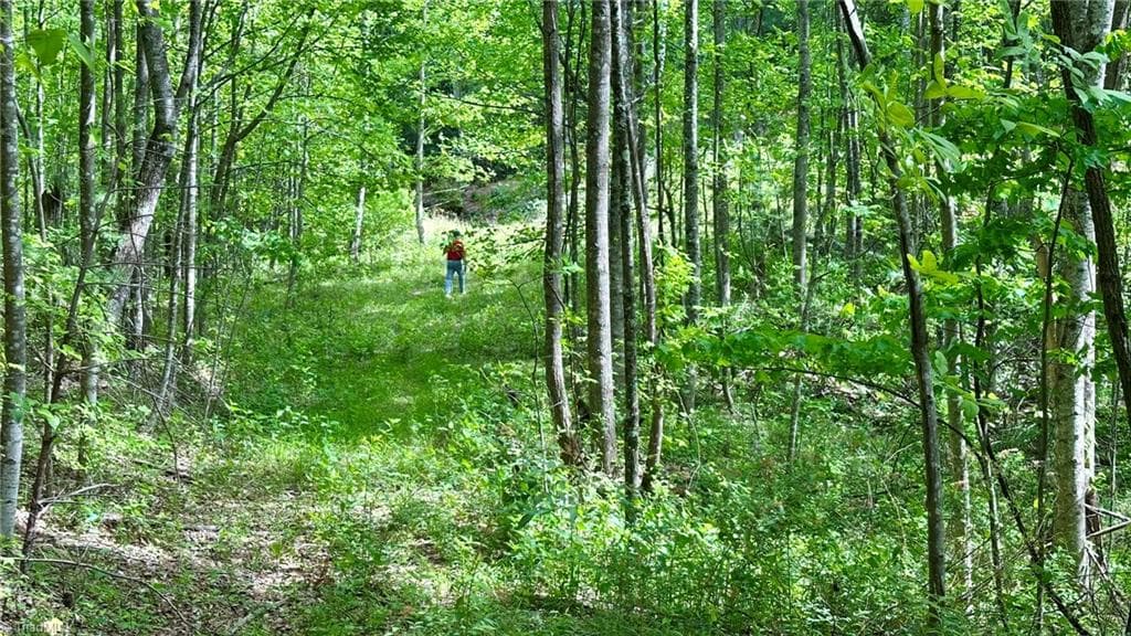 Unimproved Land at 000 N Old NC Highway 16, Millers Creek NC 28651, photo 15 of 20