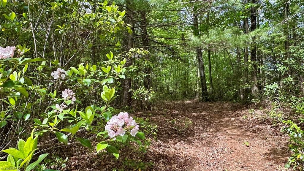 Unimproved Land at 000 N Old NC Highway 16, Millers Creek NC 28651, photo 11 of 20