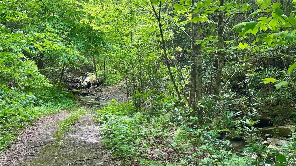 Unimproved Land at 000 N Old NC Highway 16, Millers Creek NC 28651, photo 8 of 20