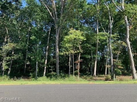 7508 Whisper Hollow Lane, Lewisville NC 27023