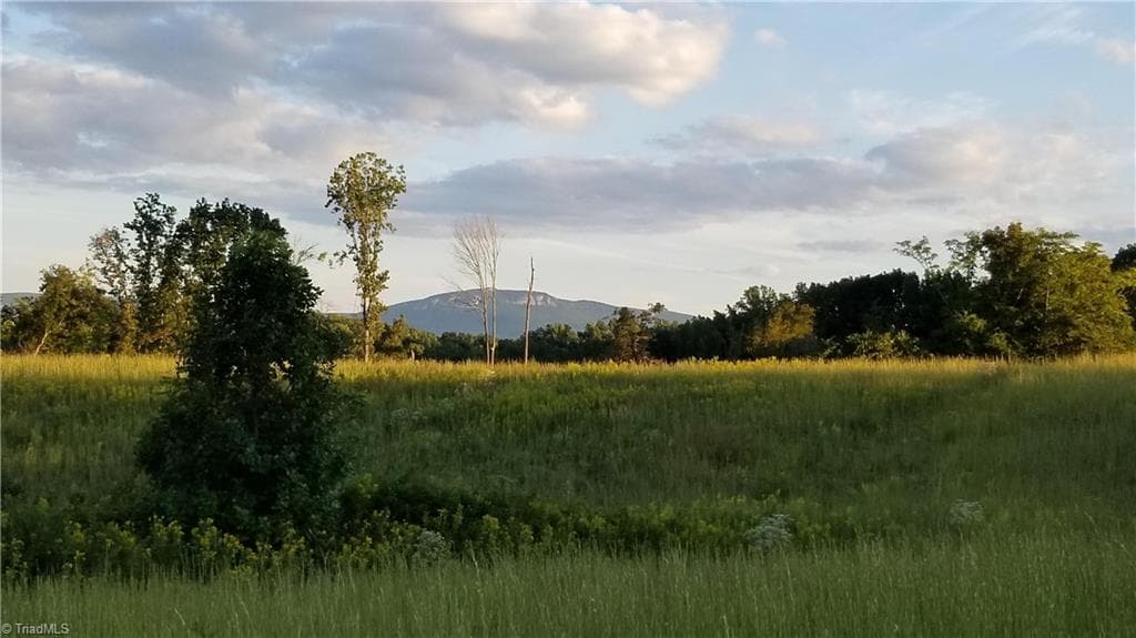 Unimproved Land at 0 NC Highway 89, Francisco NC 27053, photo 2 of 6