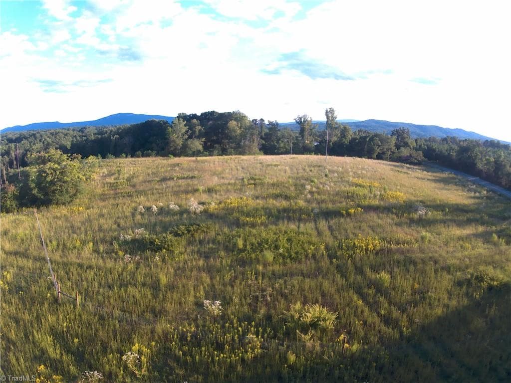 Unimproved Land at 0 NC Highway 89, Francisco NC 27053, photo 3 of 6